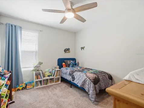 34149 Scarlet Sage Court Wesley Chapel FL 33545