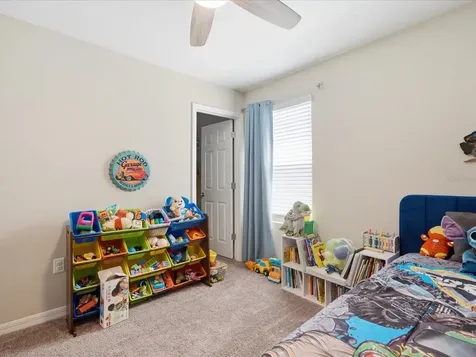 34149 Scarlet Sage Court Wesley Chapel FL 33545