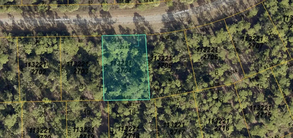 1132212704 Lestock Avenue North Port FL 34288