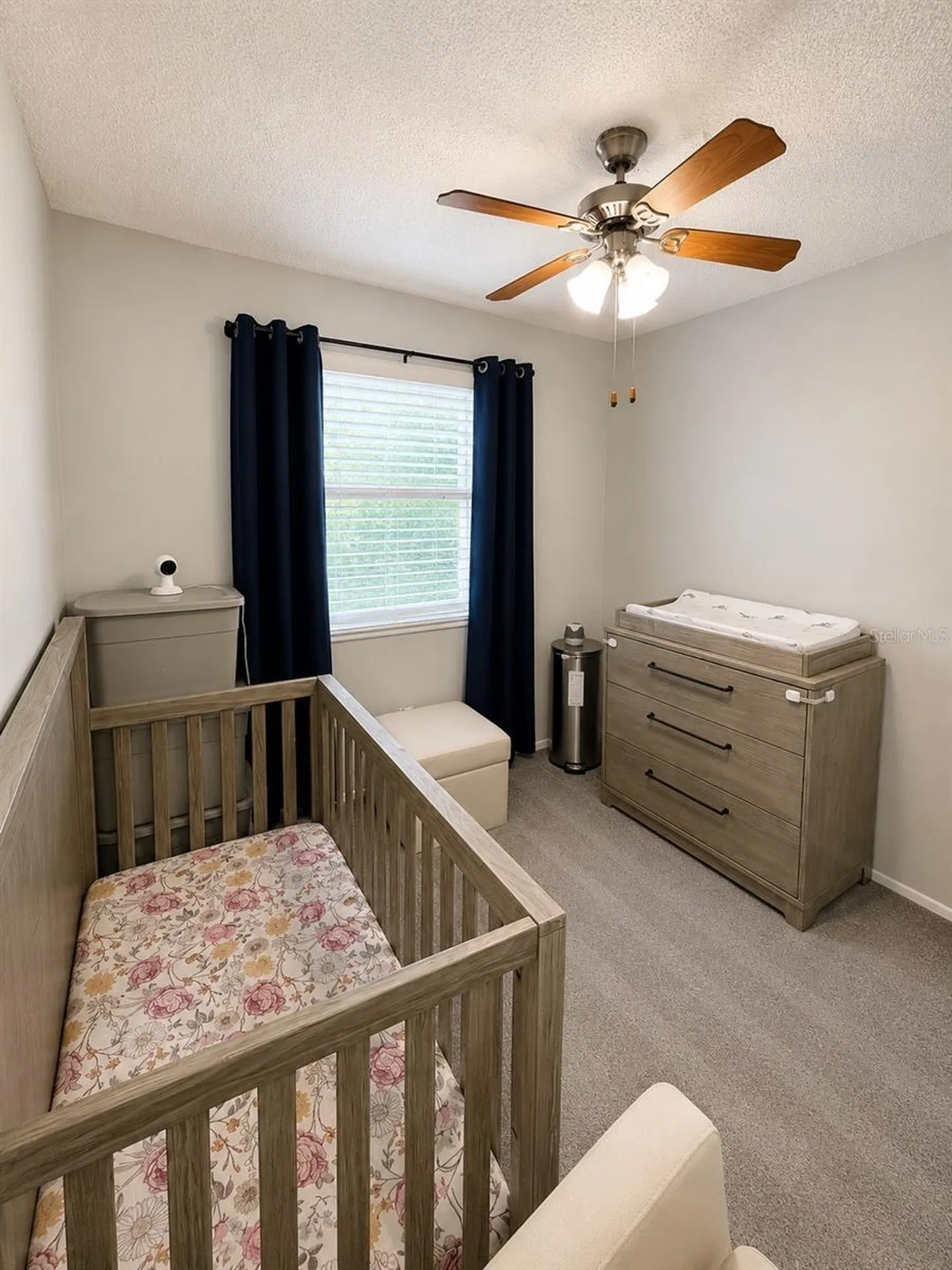 10344 Councils Way Tampa FL 33617