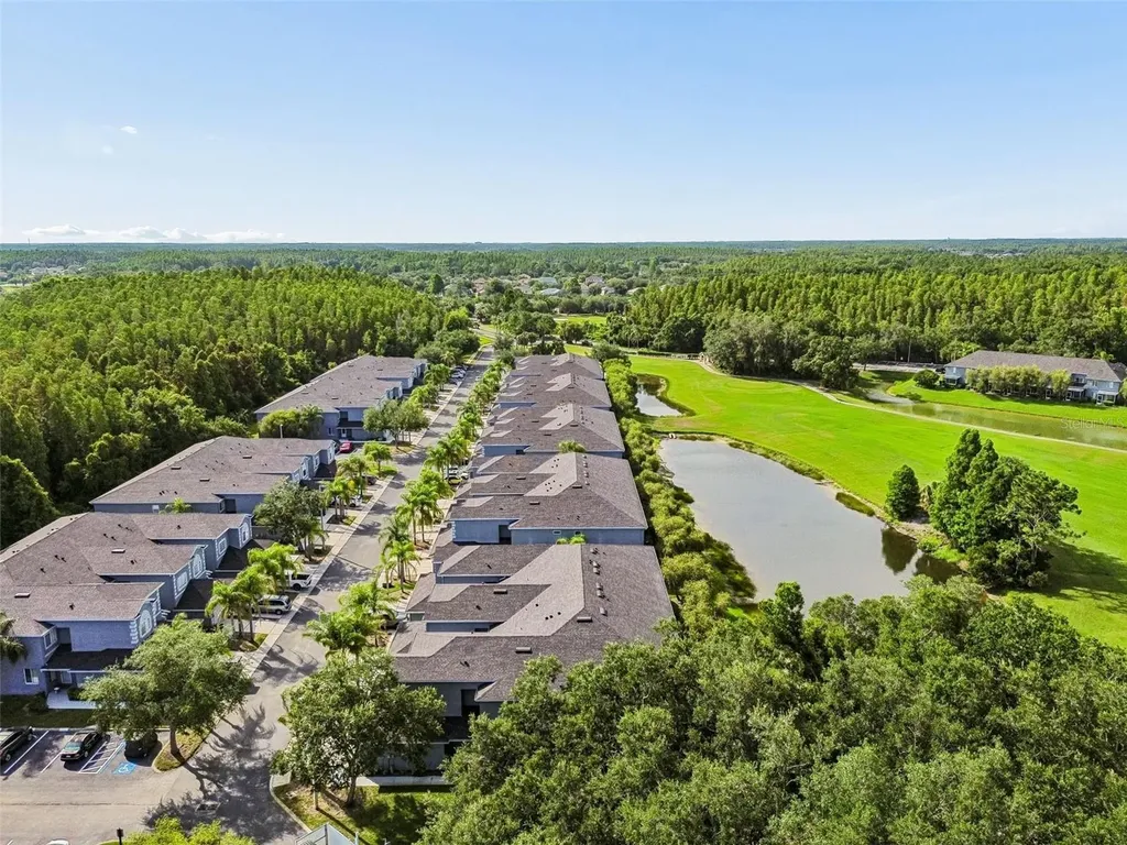 18107 Nassau Point Drive Tampa FL 33647