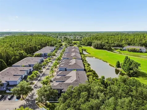18107 Nassau Point Drive Tampa FL 33647