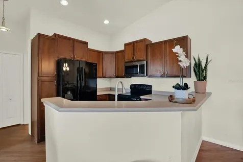8919 Moonlit Meadows Loop Riverview FL 33578