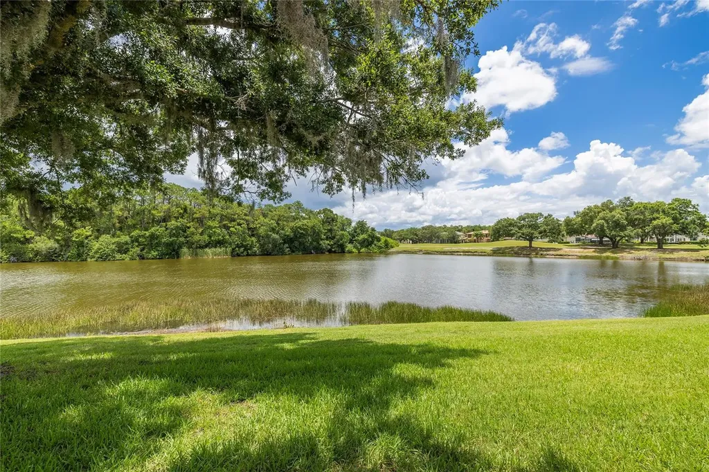 2055 Diamond Court Oldsmar FL 34677