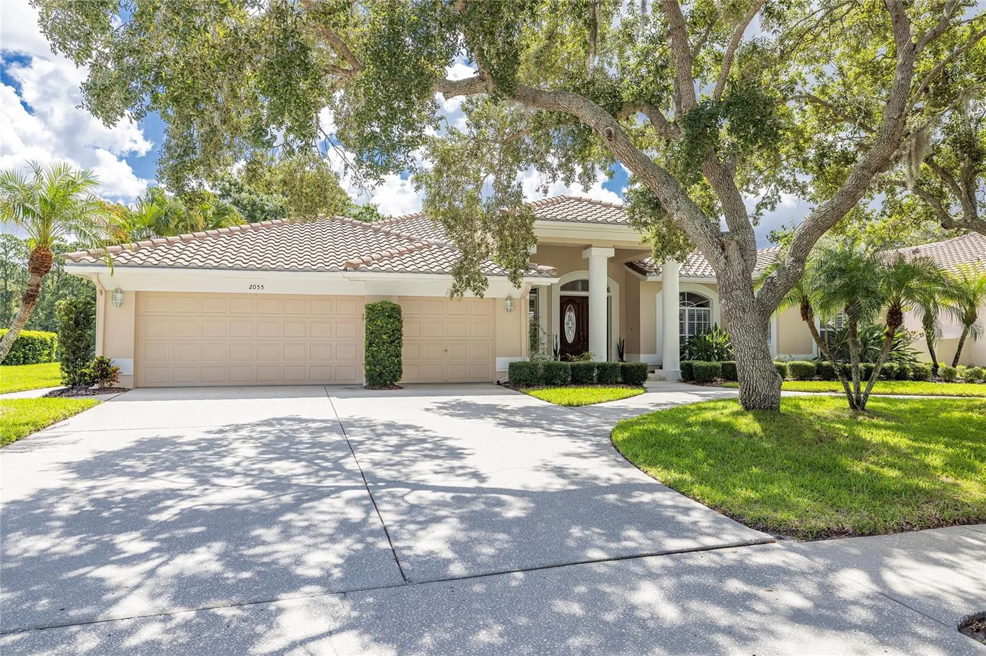 2055 Diamond Court Oldsmar FL 34677