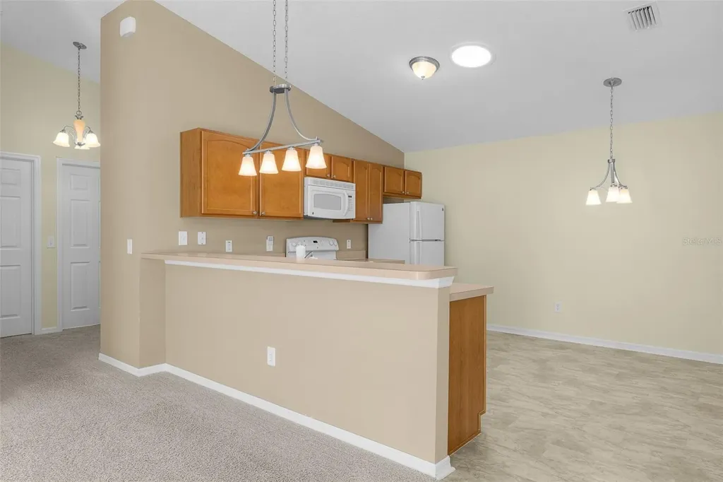 1838 Endsley Court The Villages FL 32162