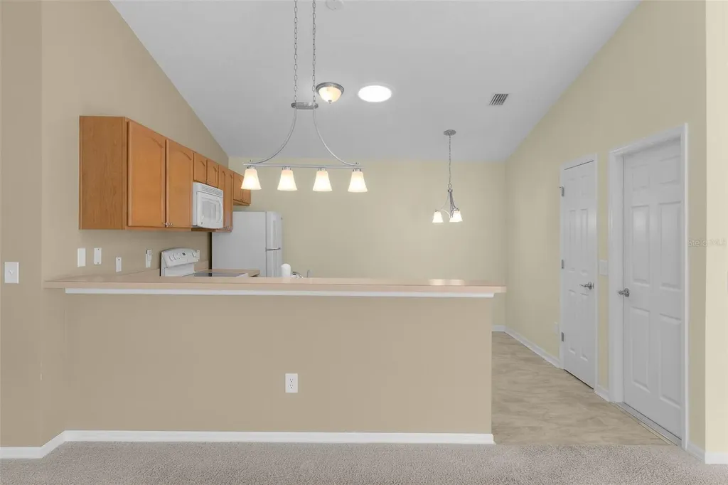 1838 Endsley Court The Villages FL 32162