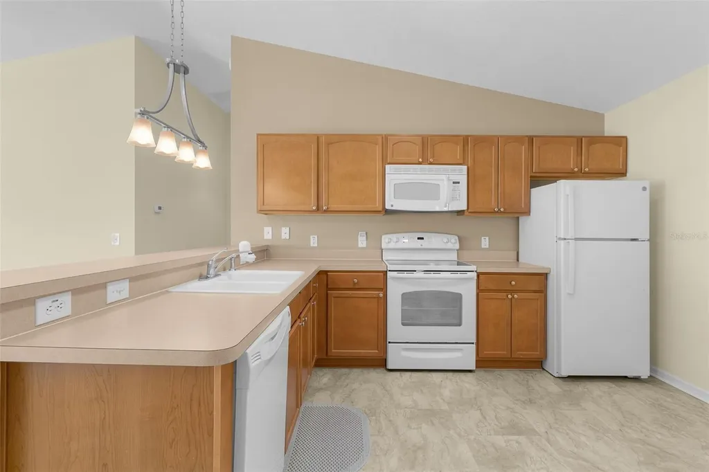 1838 Endsley Court The Villages FL 32162