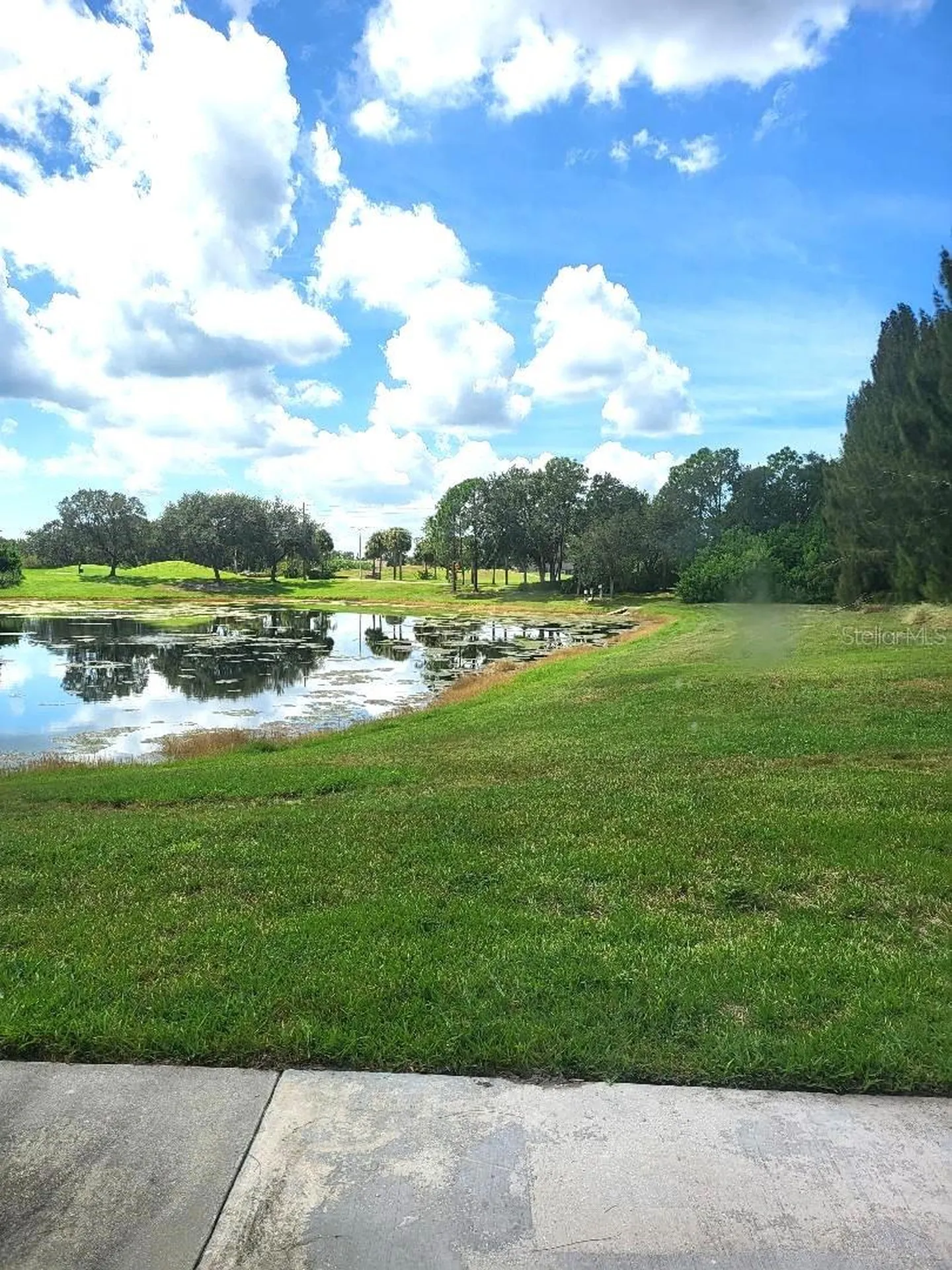 424 Lake Point Court Sun City Center FL 33573