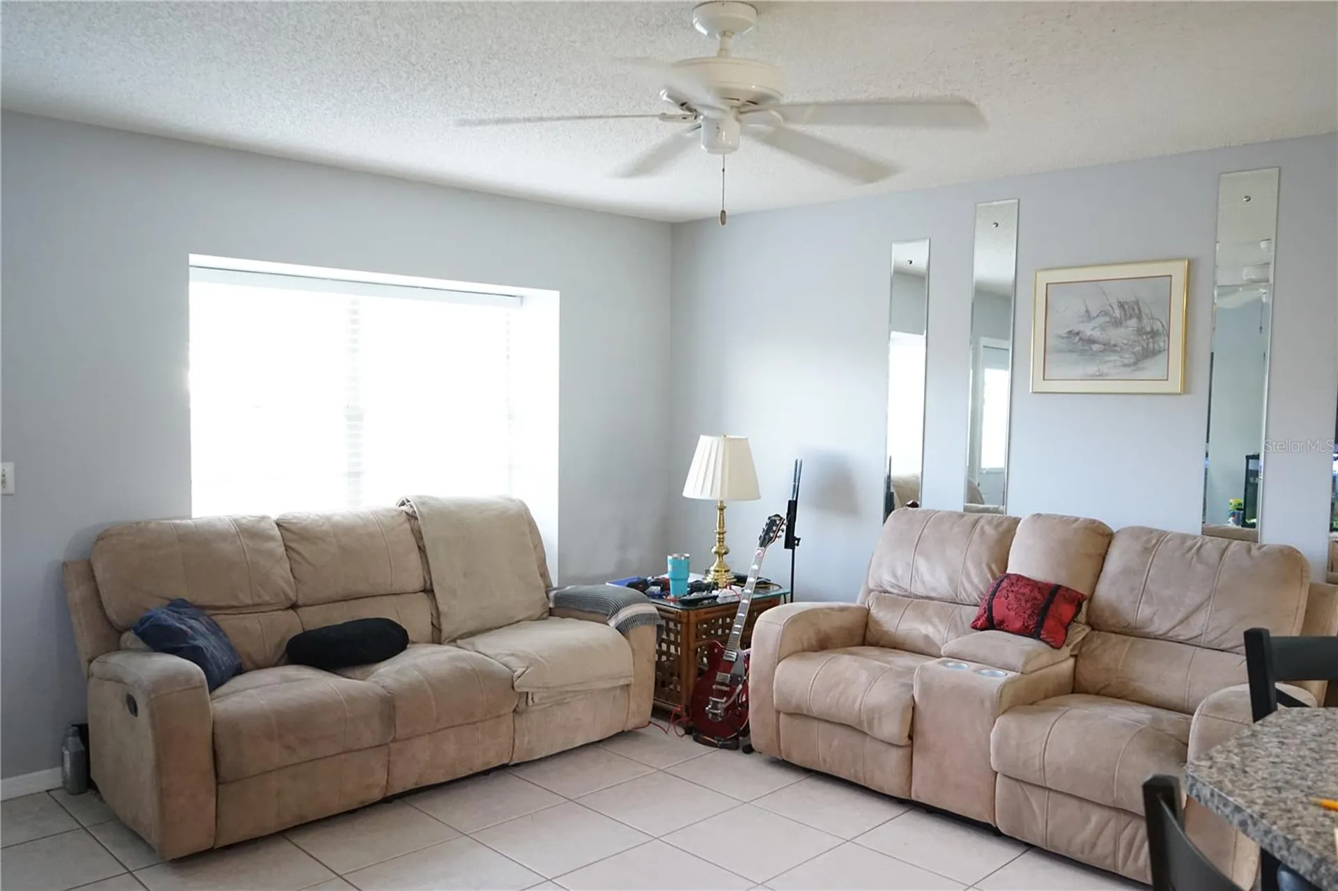 424 Lake Point Court Sun City Center FL 33573