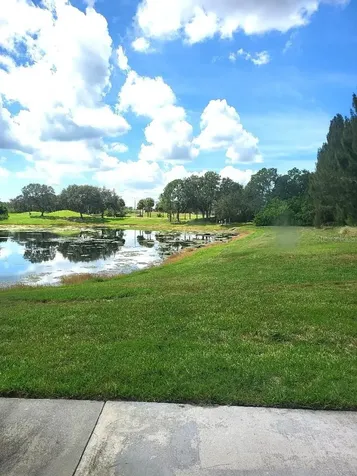 424 Lake Point Court Sun City Center FL 33573