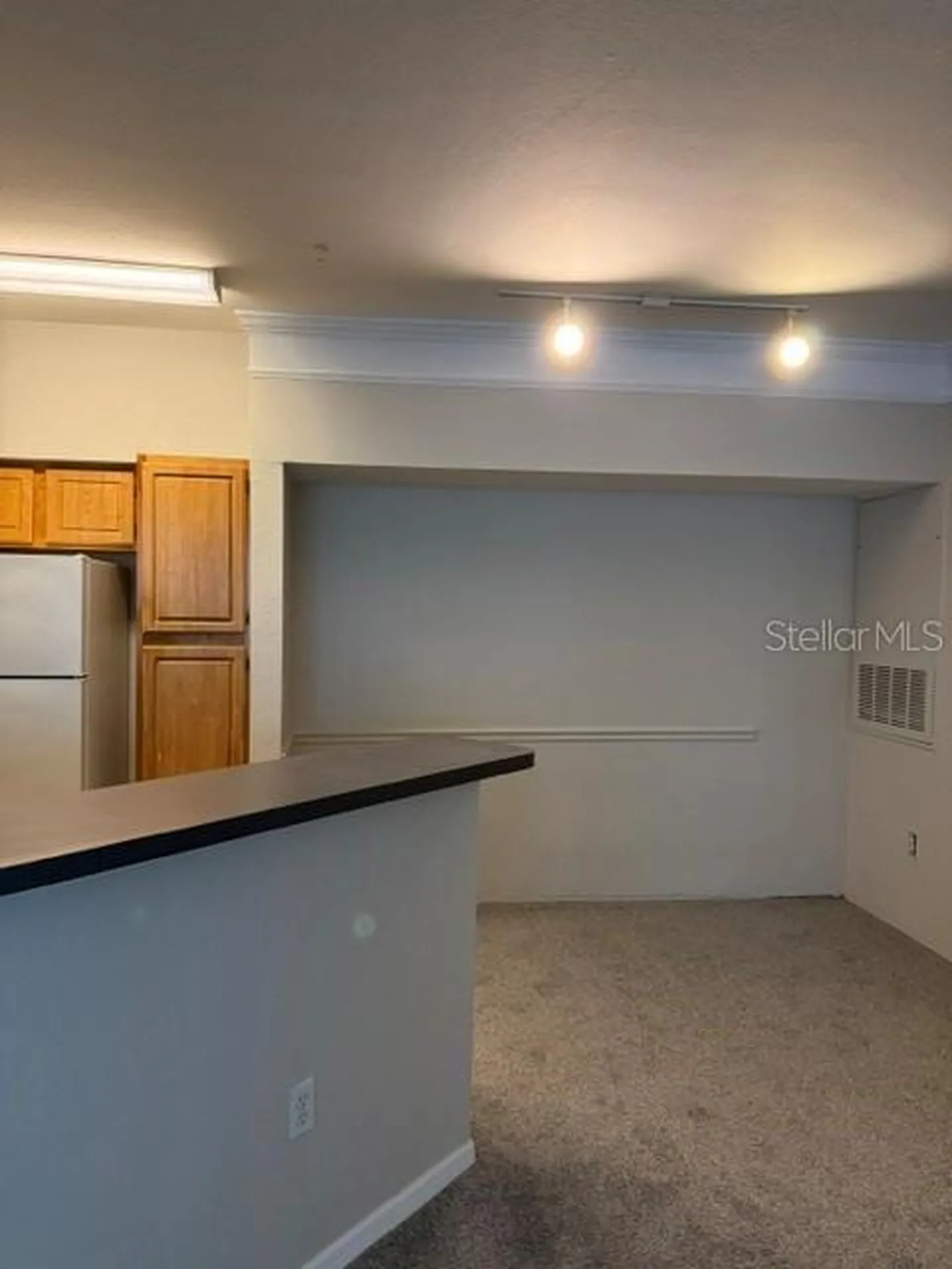 3250 Corona Village Way Orlando FL 32835