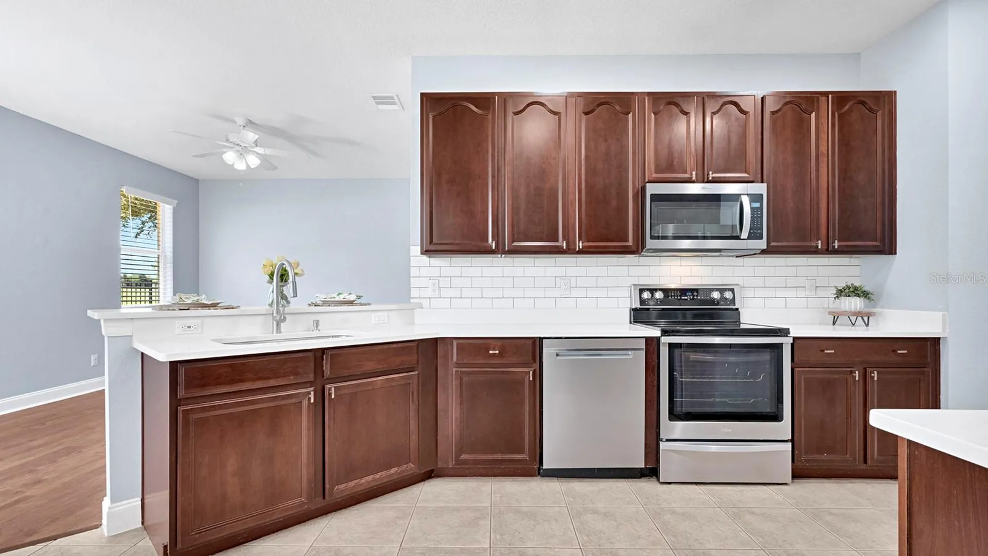 34037 Fortunado Street Sorrento FL 32776