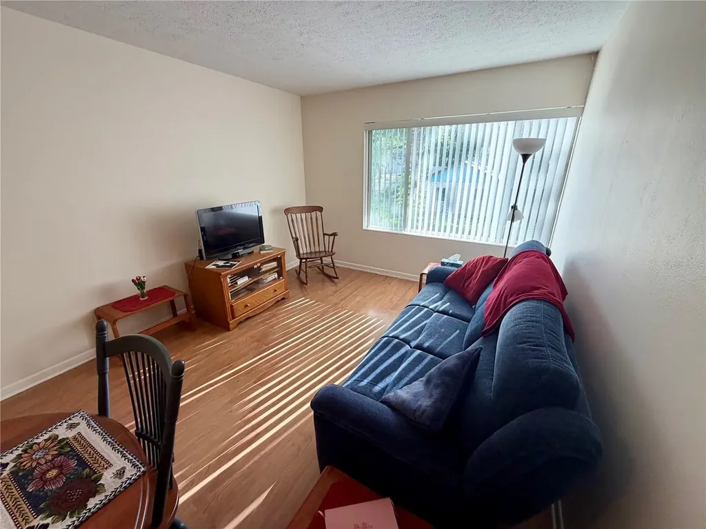 223 Windsor Street Lakeland FL 33803