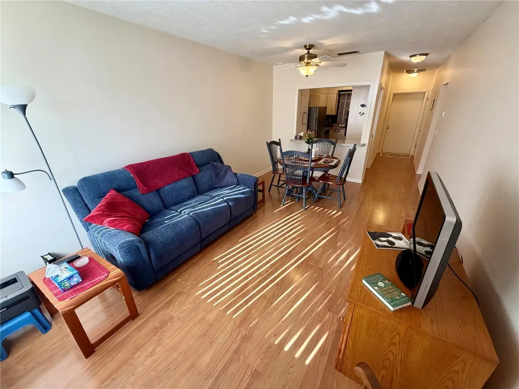 223 Windsor Street Lakeland FL 33803