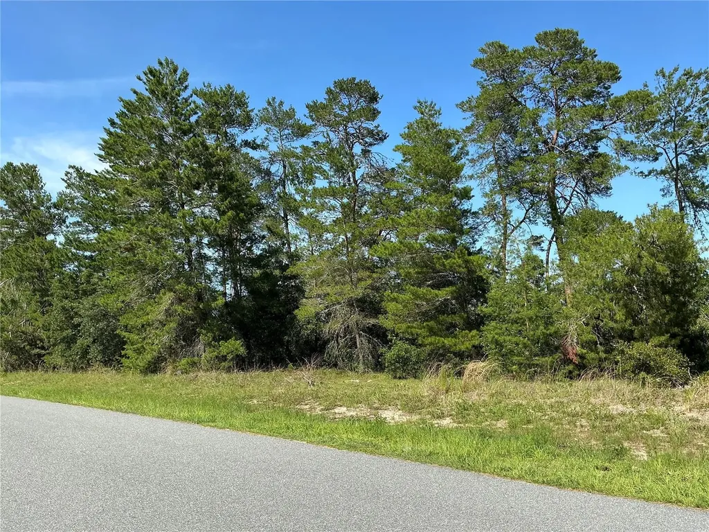 12995 SW 35th Avenue Road Ocala FL 34473
