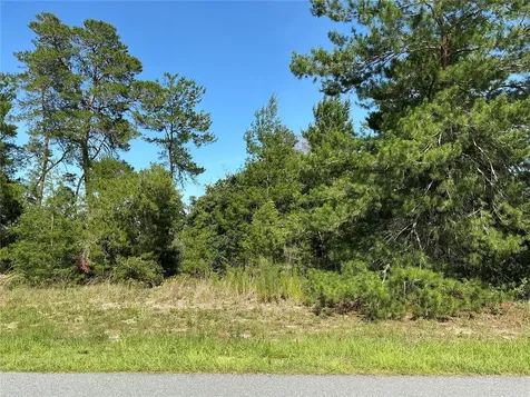 12995 SW 35th Avenue Road Ocala FL 34473
