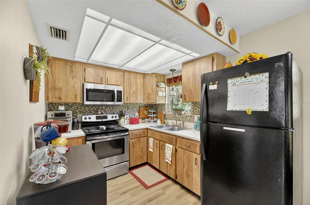 205 Wendel Avenue Lithia FL 33547
