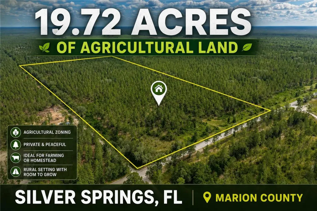NE 90th Street Road Fort Mc Coy FL 32134