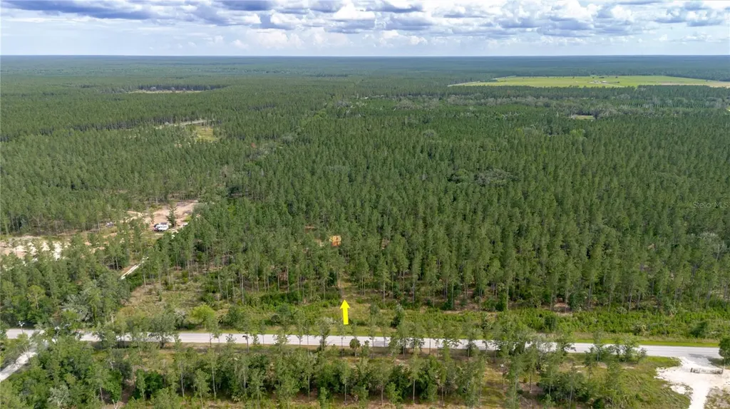 NE 90th Street Road Fort Mc Coy FL 32134