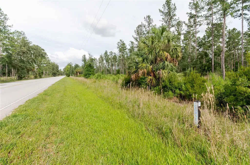 NE 90th Street Road Fort Mc Coy FL 32134