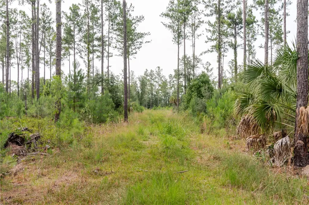 NE 90th Street Road Fort Mc Coy FL 32134
