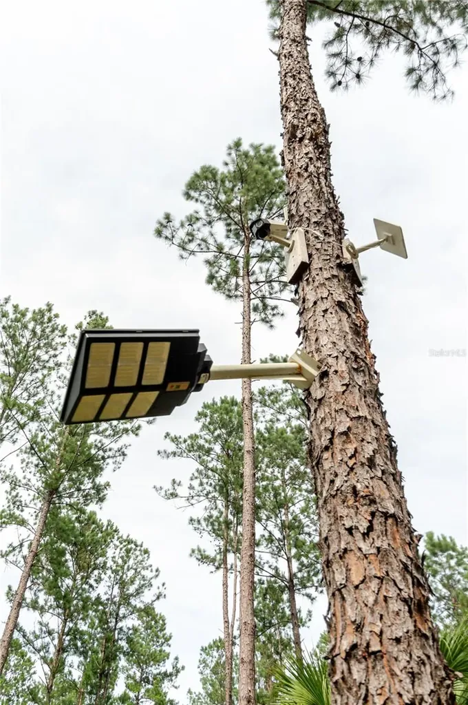 NE 90th Street Road Fort Mc Coy FL 32134