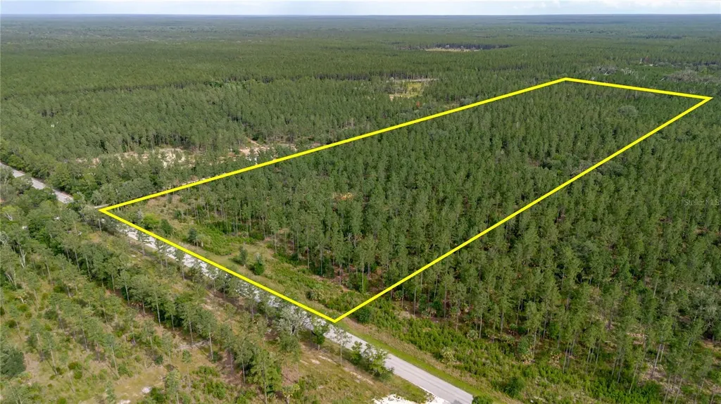 NE 90th Street Road Fort Mc Coy FL 32134