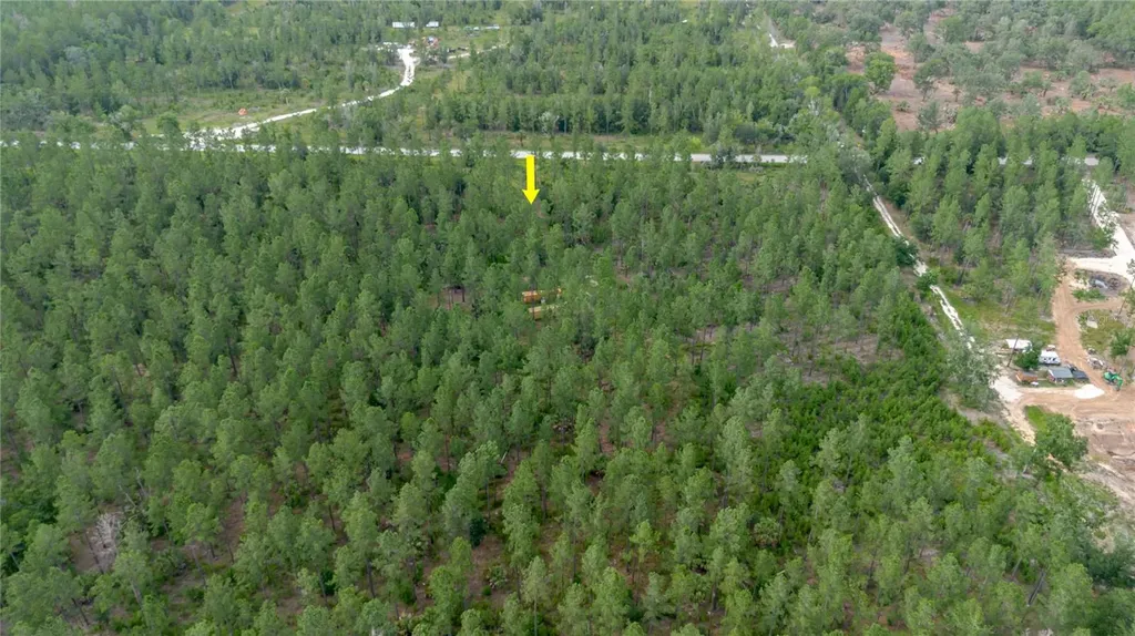 NE 90th Street Road Fort Mc Coy FL 32134
