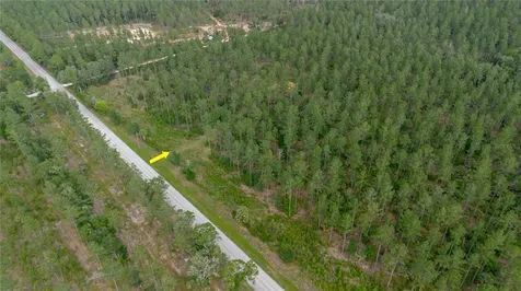 NE 90th Street Road Fort Mc Coy FL 32134