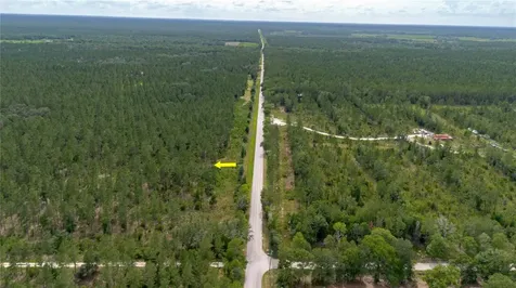 NE 90th Street Road Fort Mc Coy FL 32134