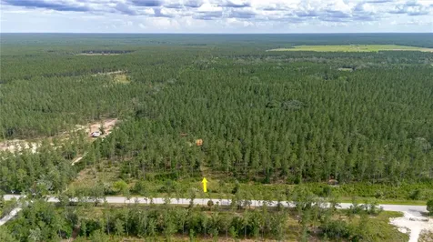 NE 90th Street Road Fort Mc Coy FL 32134