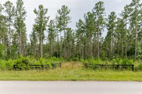 NE 90th Street Road Fort Mc Coy FL 32134