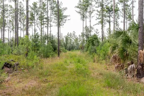 NE 90th Street Road Fort Mc Coy FL 32134