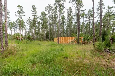 NE 90th Street Road Fort Mc Coy FL 32134