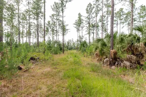 NE 90th Street Road Fort Mc Coy FL 32134