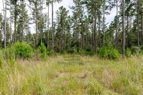 NE 90th Street Road Fort Mc Coy FL 32134