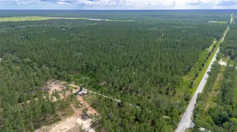 NE 90th Street Road Fort Mc Coy FL 32134
