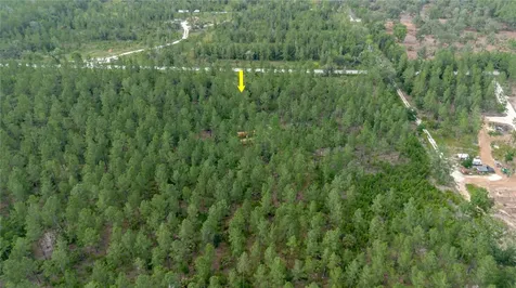 NE 90th Street Road Fort Mc Coy FL 32134