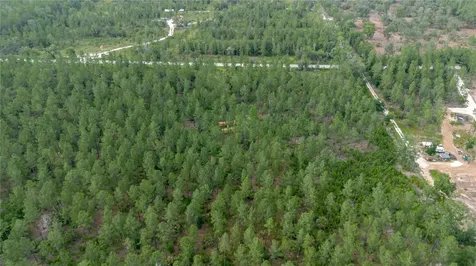 NE 90th Street Road Fort Mc Coy FL 32134