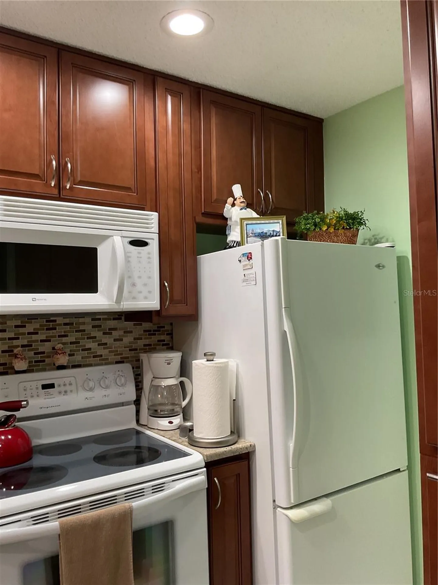 2655 Pine Ridge Way N Palm Harbor FL 34684