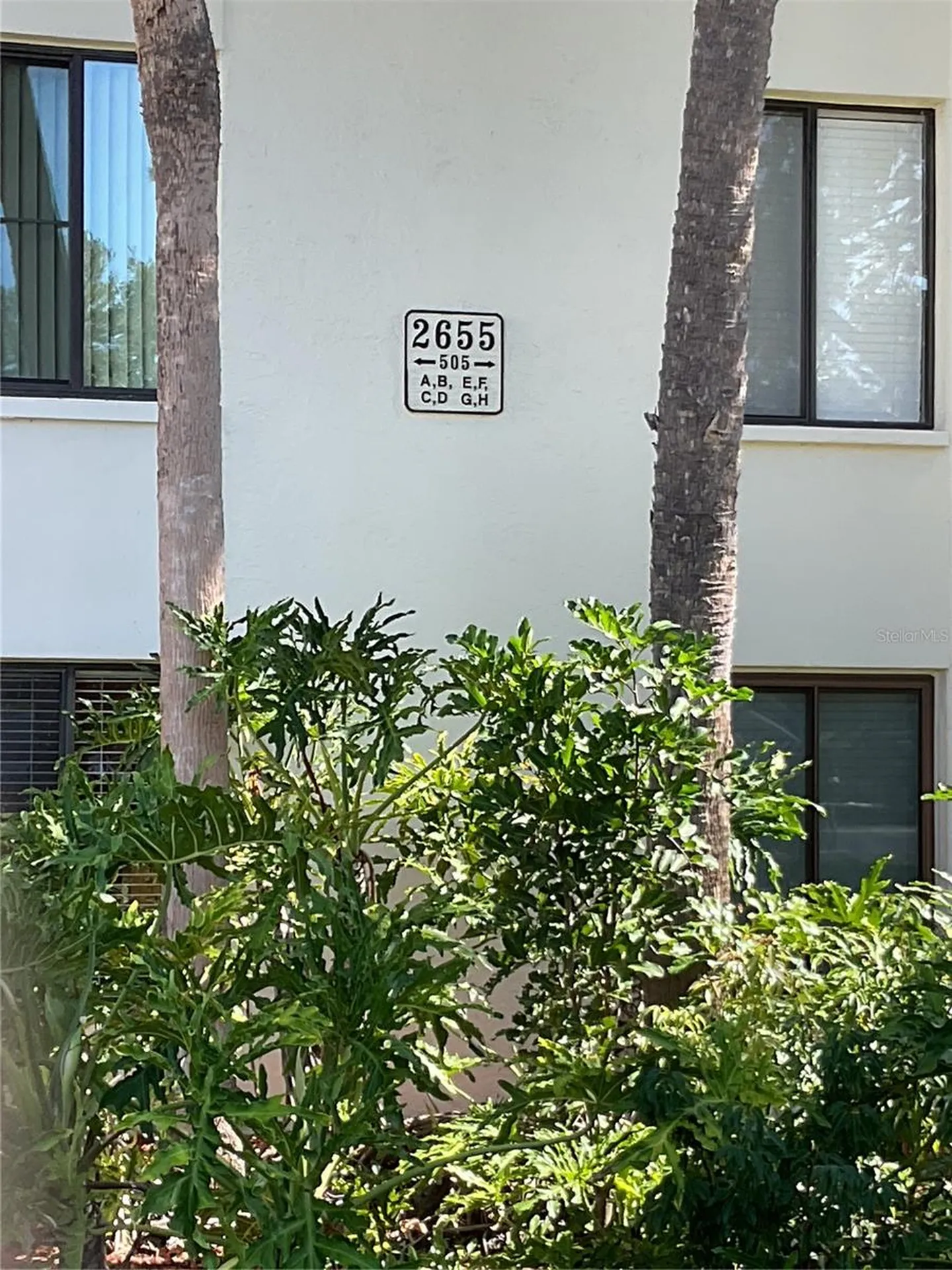 2655 Pine Ridge Way N Palm Harbor FL 34684