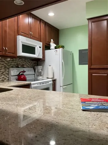 2655 Pine Ridge Way N Palm Harbor FL 34684