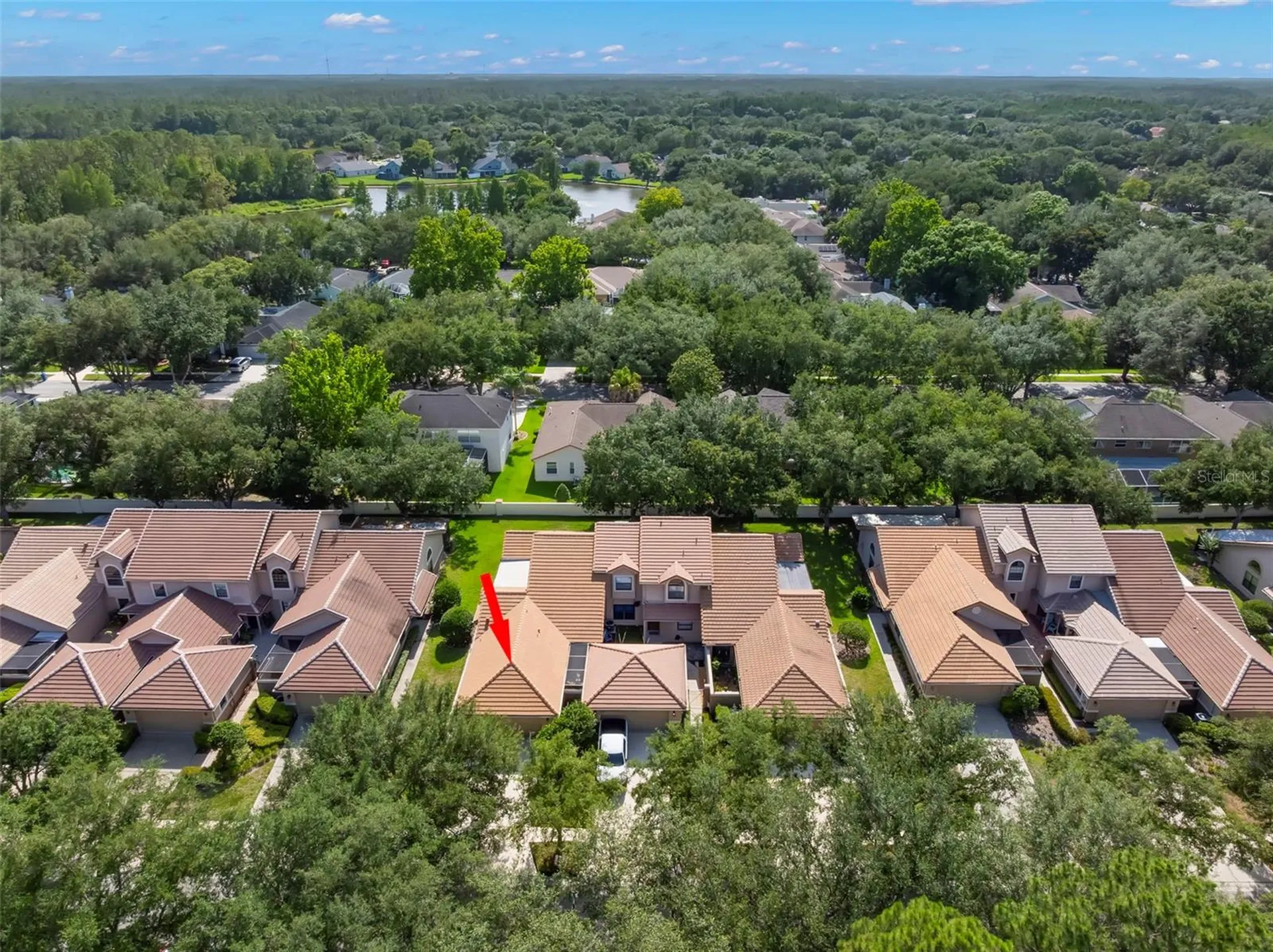 17716 Oak Bridge Street Tampa FL 33647