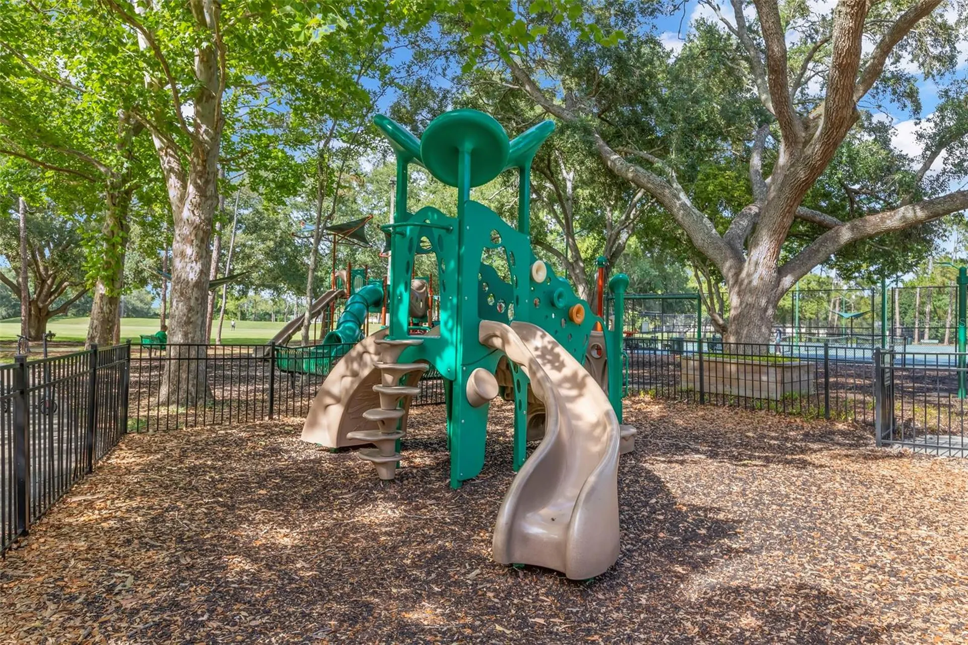 17716 Oak Bridge Street Tampa FL 33647
