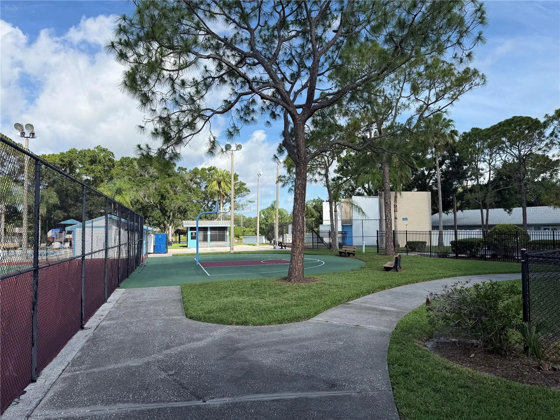 140 Hunter Lake Drive Oldsmar FL 34677