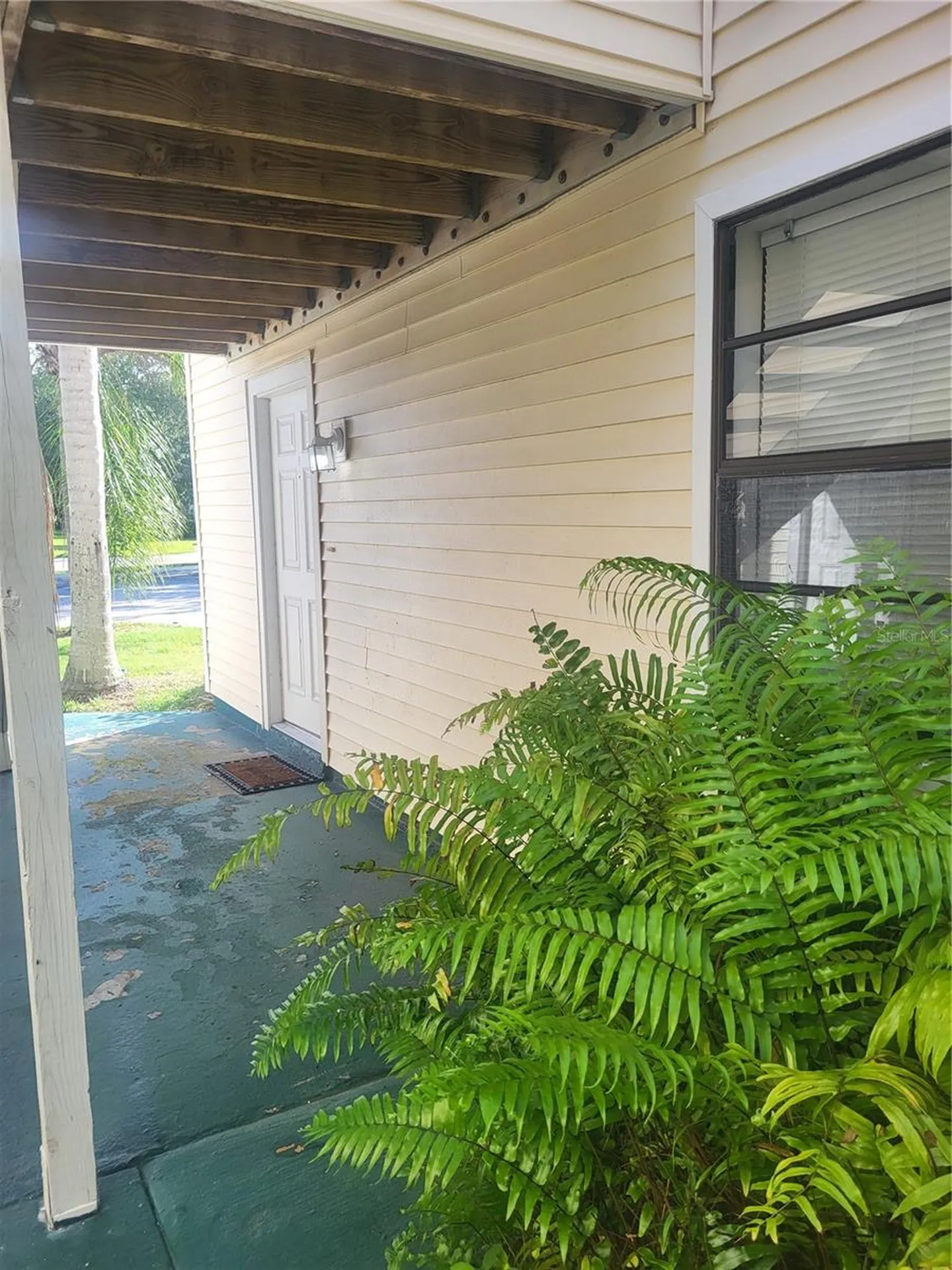 140 Hunter Lake Drive Oldsmar FL 34677