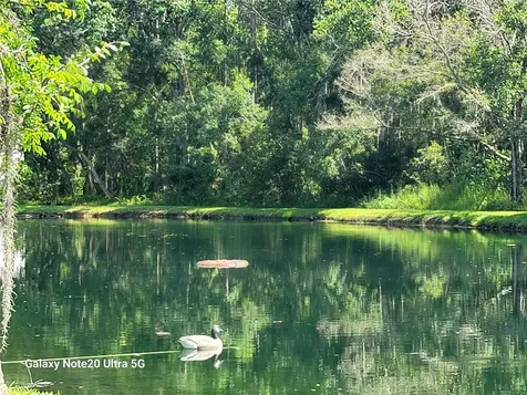 12742 Wood Trail Blvd Boulevard Tampa FL 33625