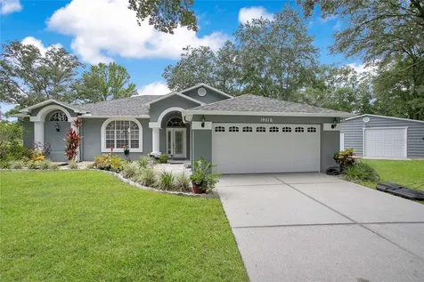 19616 Livingston Avenue Lutz FL 33559