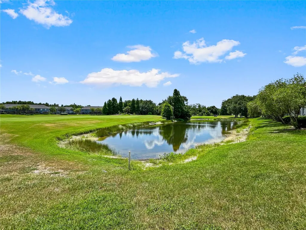 18141 Nassau Point Drive Tampa FL 33647